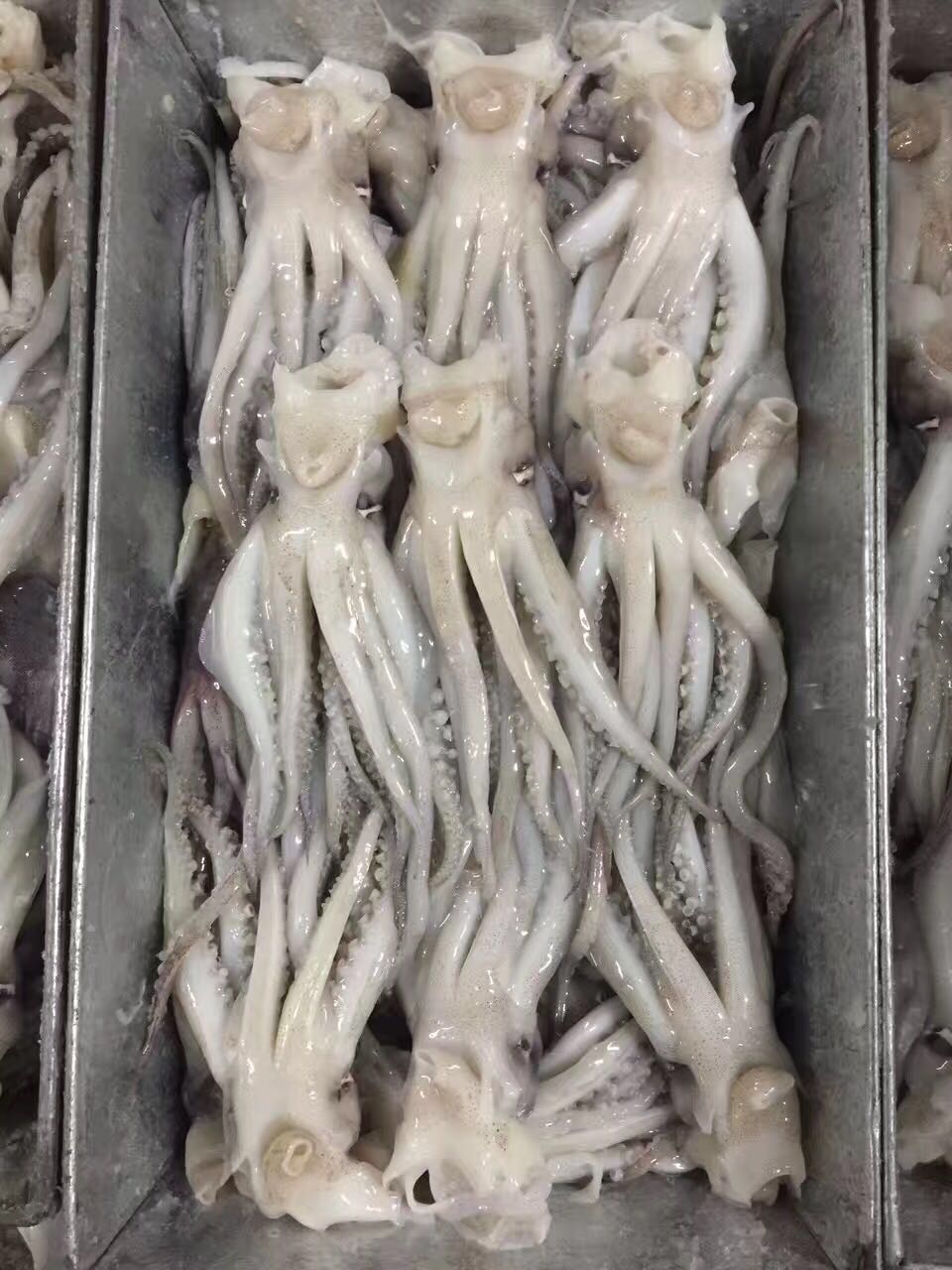 泡水頭
